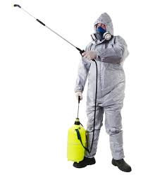 How Can Fleas Affect Your Health